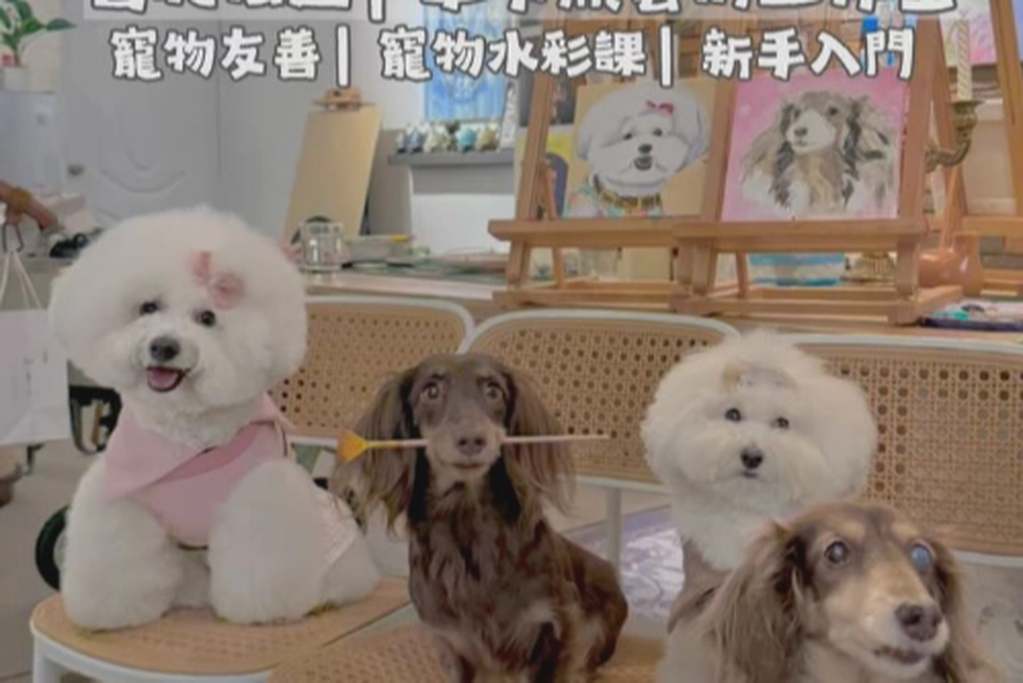 空間照片