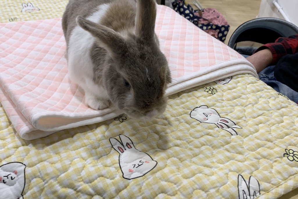 空間照片