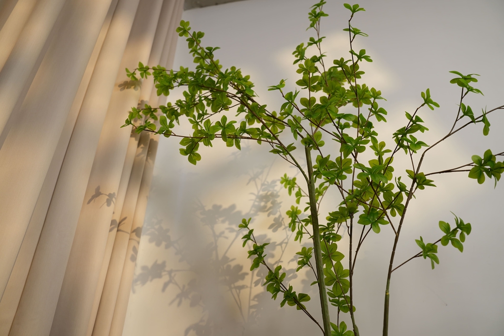 陶花Studio